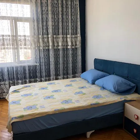Barış Daire *