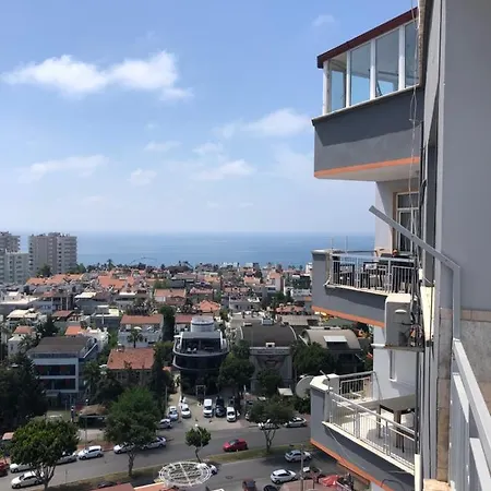 Barış Daire *