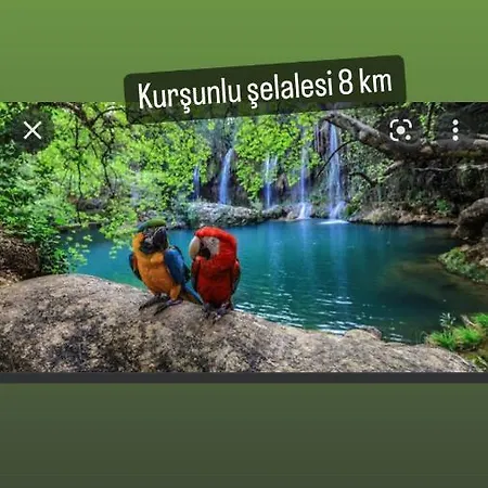 Barış Daire Antalya
