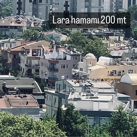 Barış Daire *